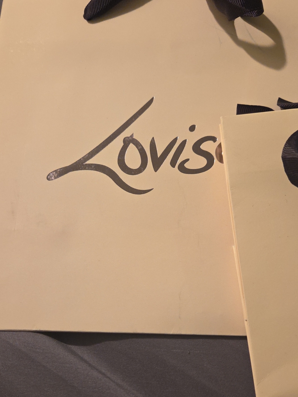 Shopping Gift Bag From LOVISA. Also Great Shelf Decor.